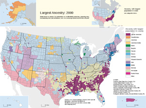 Map showing location of various  immigrants in the United States.